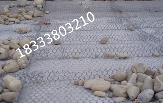 生態石籠網 生態石籠網