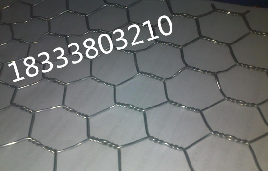 鉛絲石籠網(wǎng) 鉛絲石籠網(wǎng)