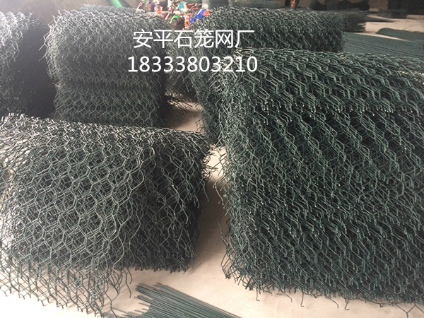 雷諾護墊網