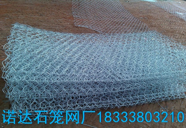 雷諾護墊