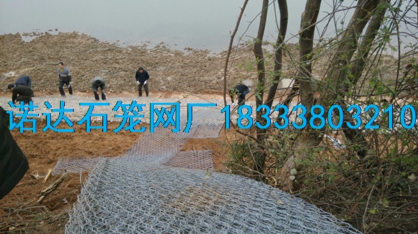 雷諾護墊
