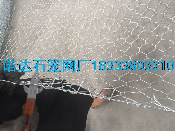 鍍鋅石籠網(wǎng)