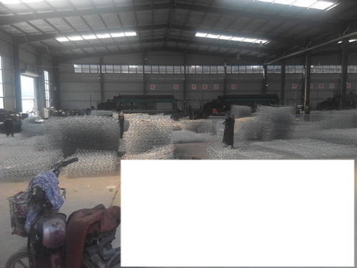 高爾凡石籠網 高爾凡石籠網