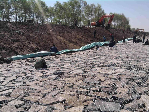 高爾凡雷諾護墊