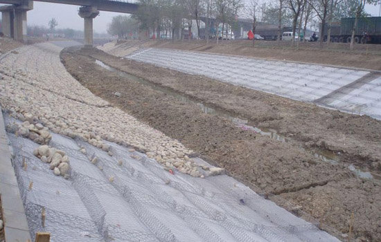 雙隔板雷諾護墊